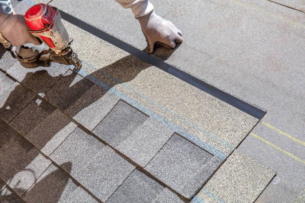 Best Flat Roof Repair Services  in Pine Bluffs, WY